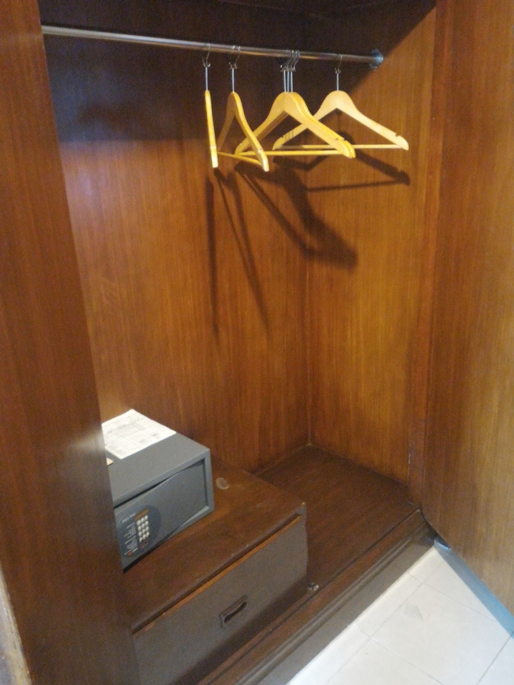 P_20180617_080645_クローゼット外観(開けた状態)