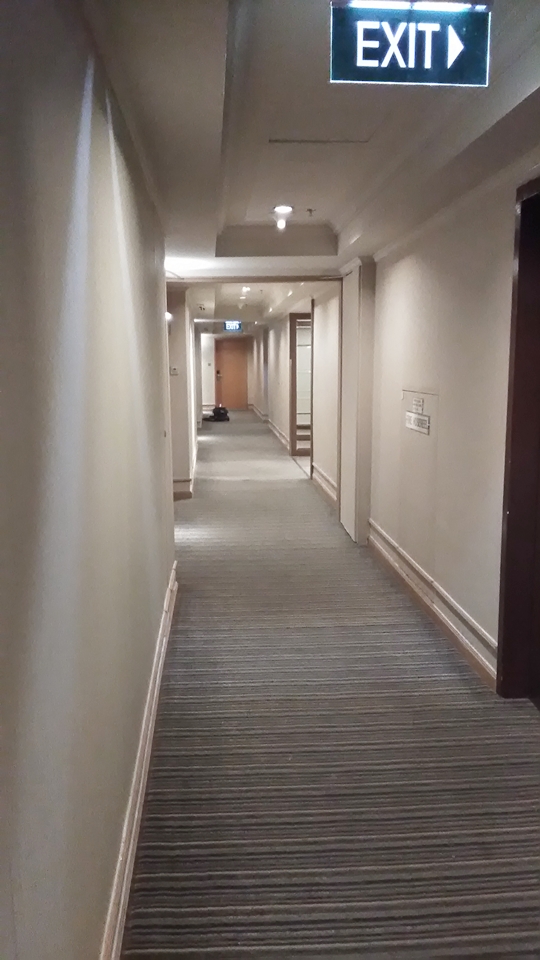 客室階廊下全体