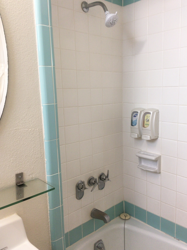 シャワーとバスタブ