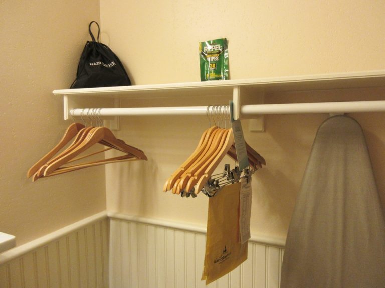 クローゼット。上にはドライヤーと虫除けシート