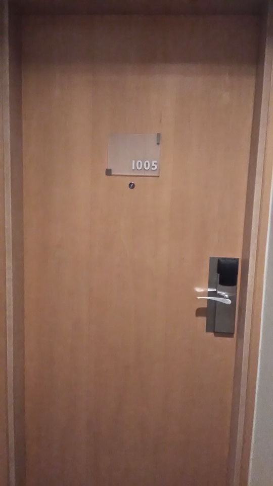 客室入口外観ドア