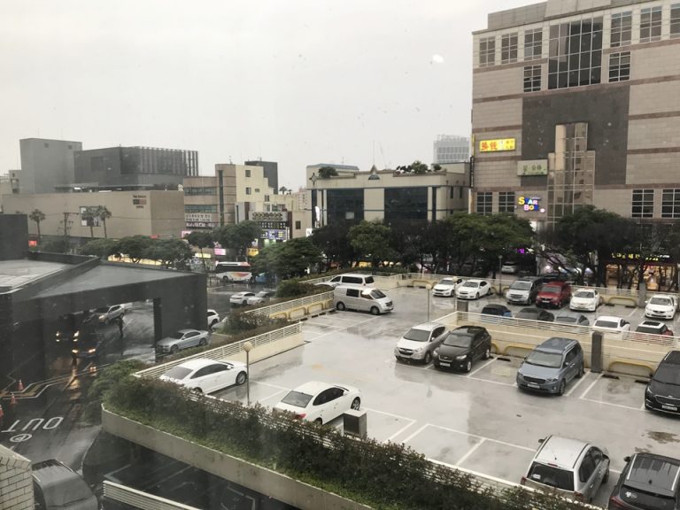 客室からの眺望