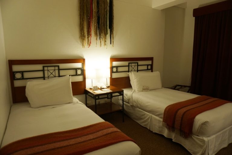 客室内ベット。問題なく使用できました。