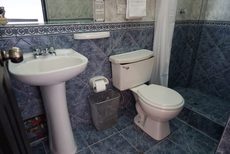 バスルームは清潔です。ペルー全体でそうですが、トイレットペーパーは流せないのでゴミ箱に捨てます。