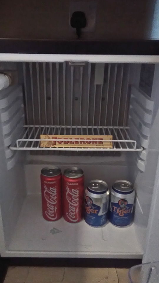 冷蔵庫(開けた状態)