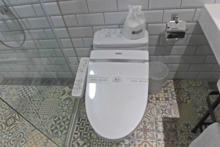 温水洗浄便器の隣がガラス張りのシャワールーム(床の模様が綺麗)