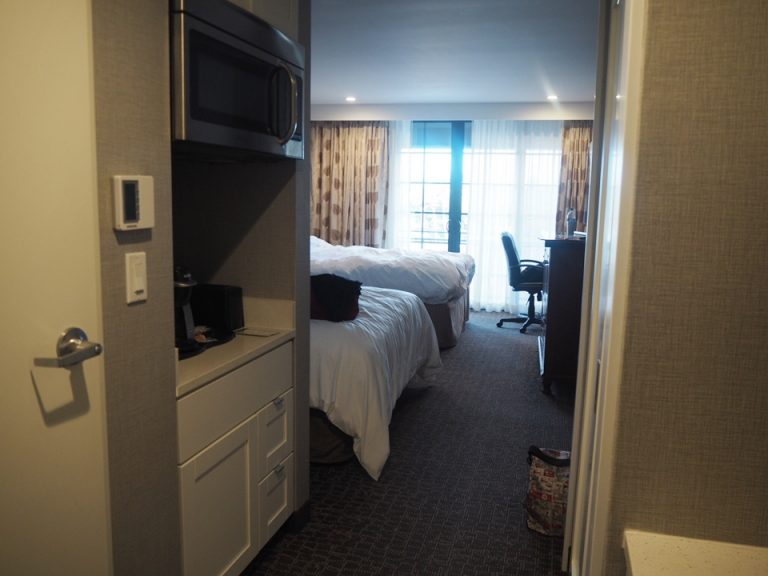 客室入口からの様子