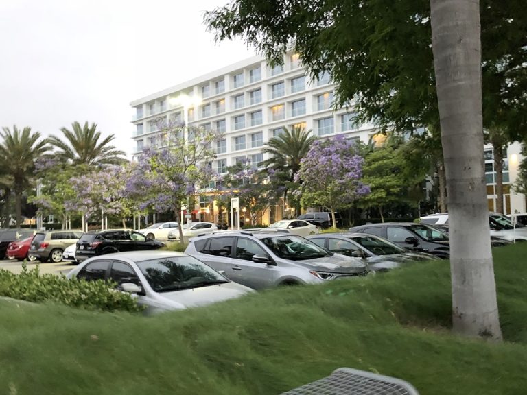 駐車場からの外観