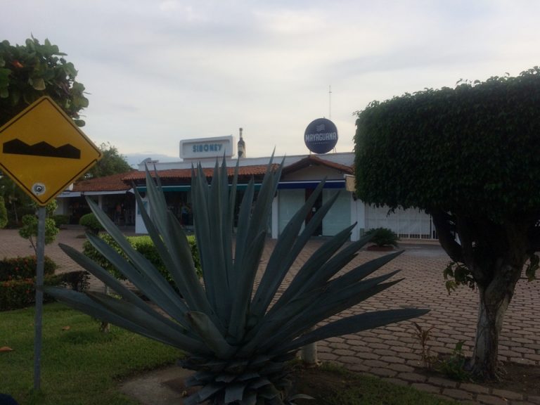 テキーラのお店