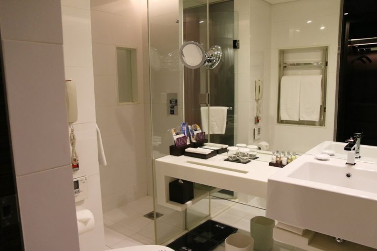 浴室入口から見た