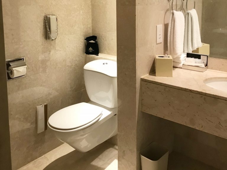 入口から全景(トイレ側)