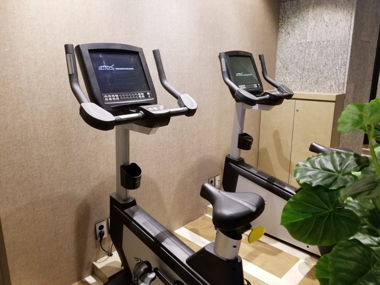 スパ横のトレーニングマシン