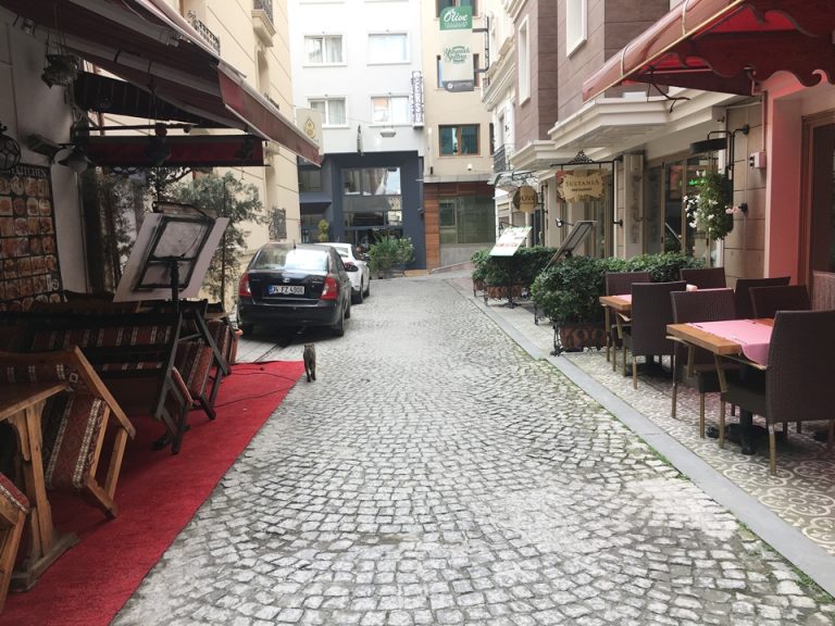 ホテル前の道路