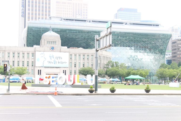 日曜日はキレイに無くなってました