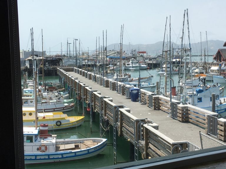 釣り船達