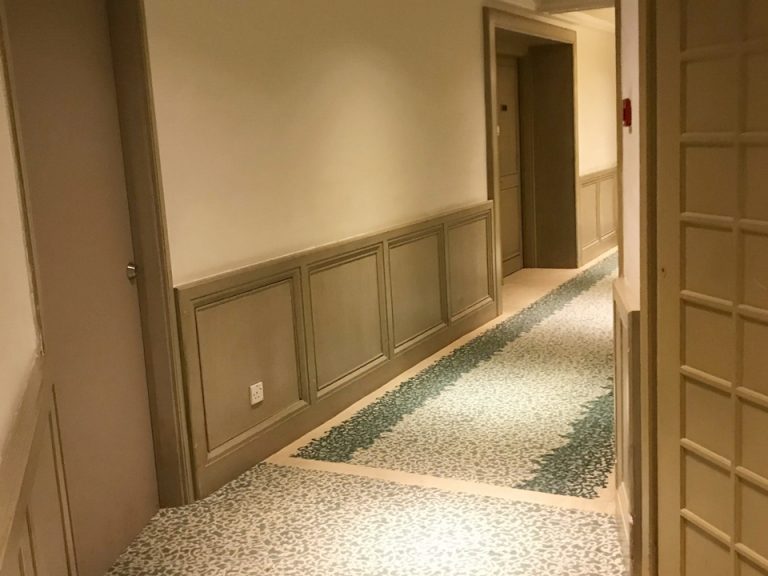 客室入口付近廊下