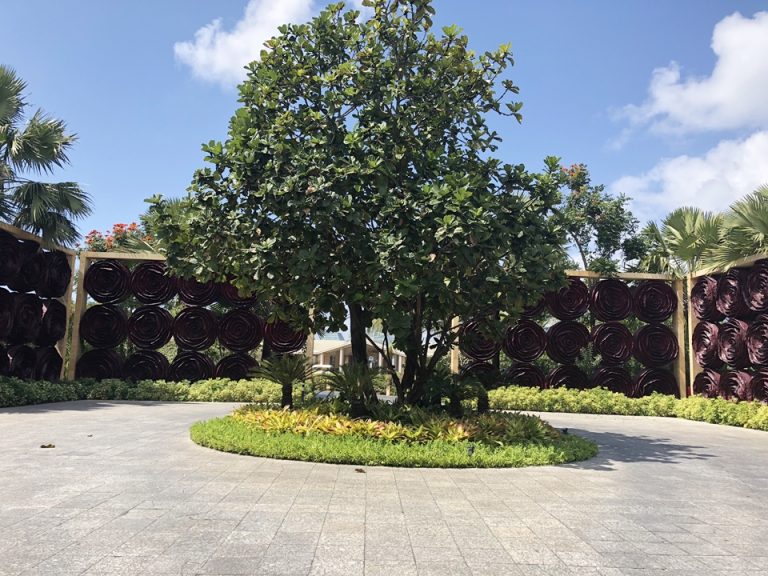 入り口から入ったところの壁