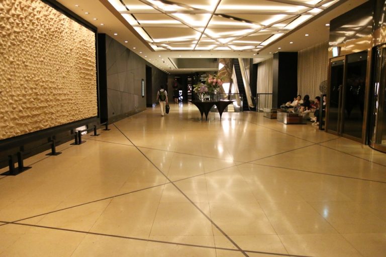 フロントを背中に撮った風景