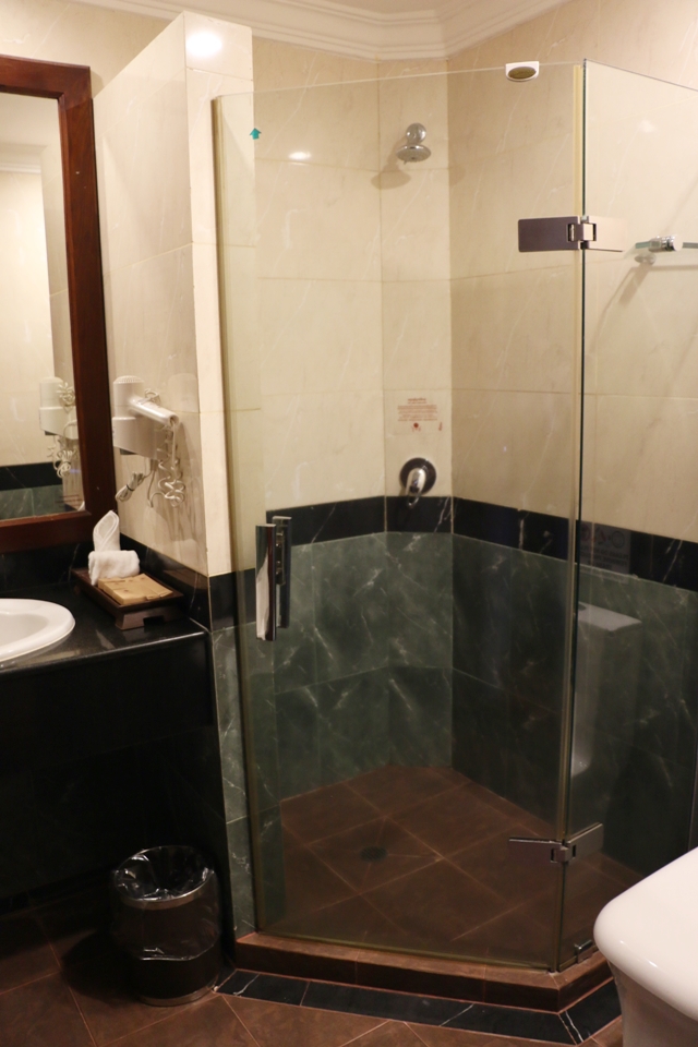 バスルームのシャワーブース全体