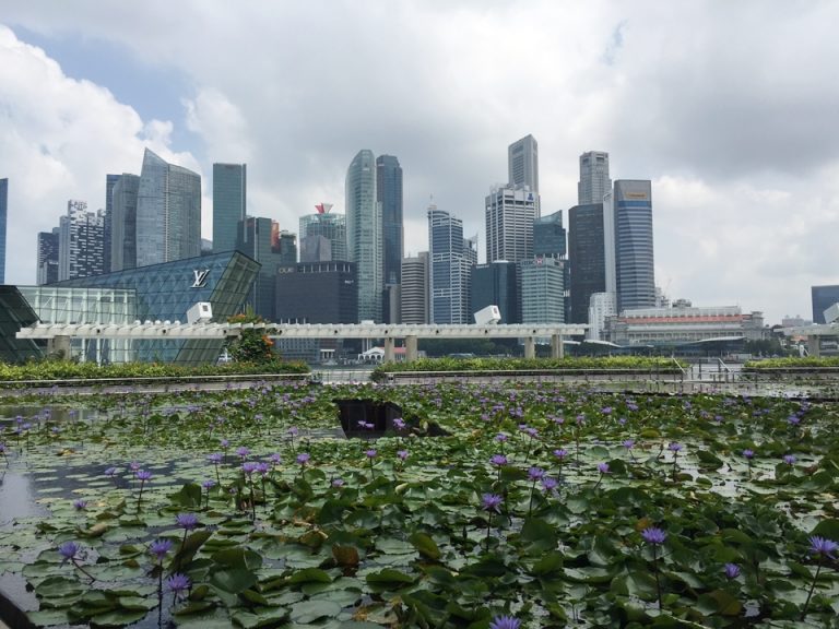 アートサイエンスミュージアム池