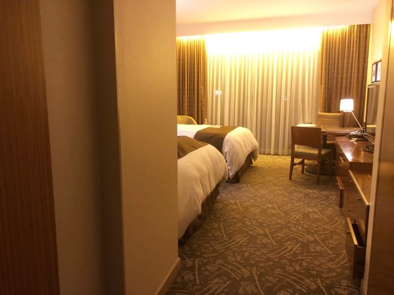 入り口からみた客室