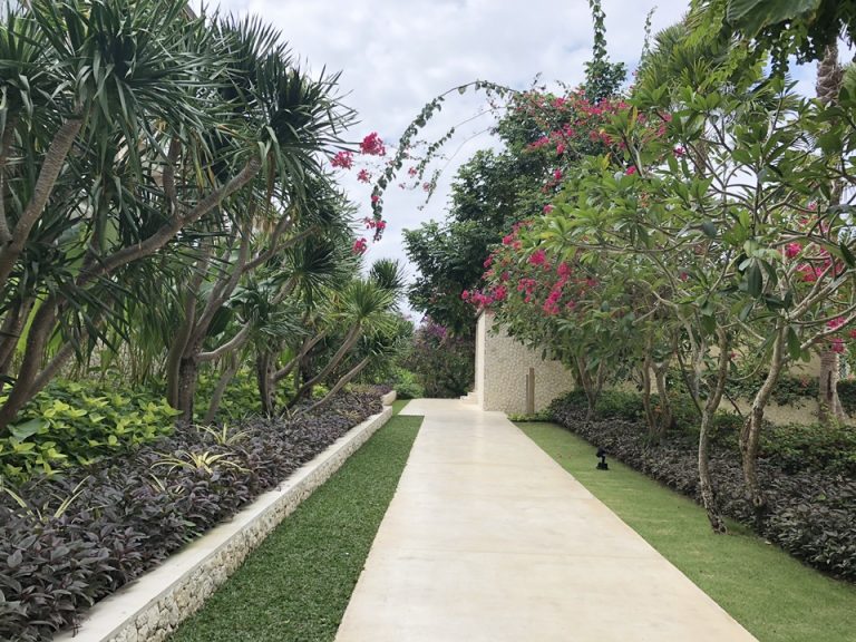 プールに向かう小道