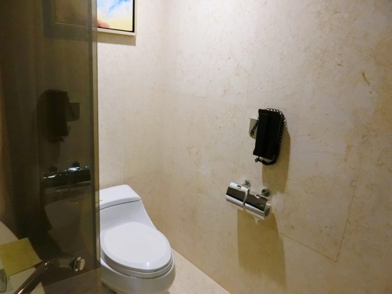 メインバスルーム内トイレCIMG7427