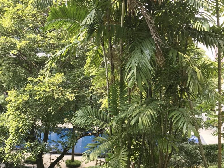 部屋からの眺望