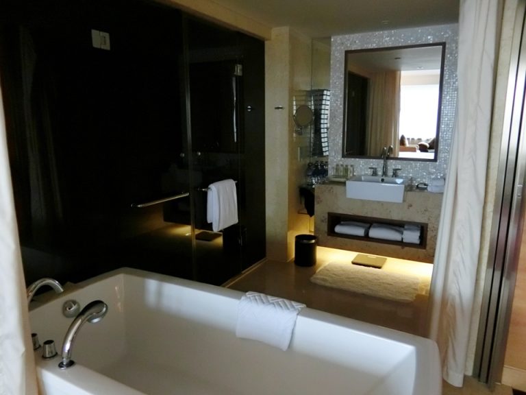 室内バスルーム全部で8畳ほどCIMG7421