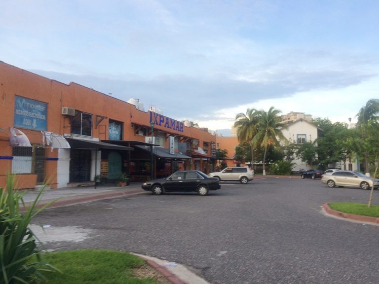 コーヒー屋、サラダ屋さんJPG