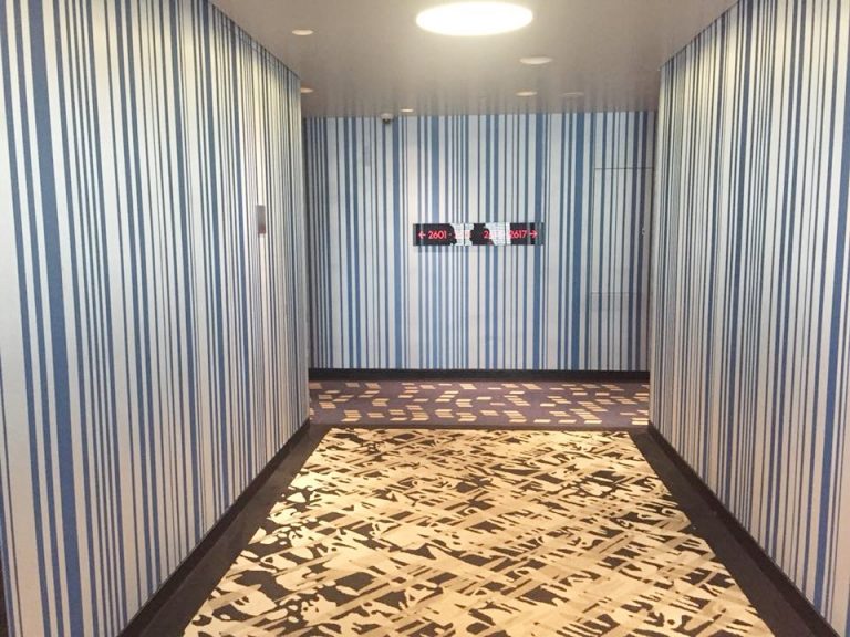 廊下は各階にテーマカラーが