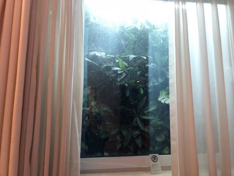 部屋側から見た窓