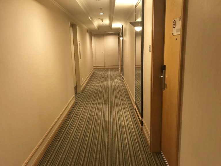 客室入り口付近廊下1