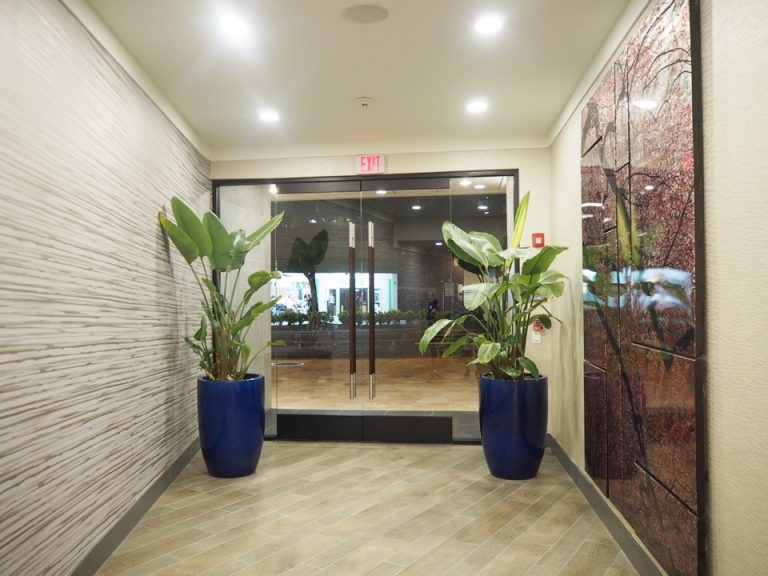 ホテル入口中から外