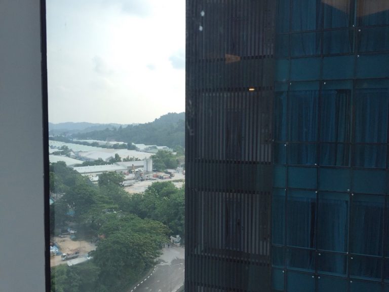 窓からの眺め左