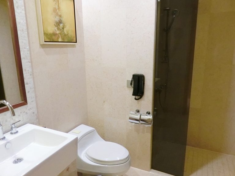 別室のトイレ・シャワーCIMG7439