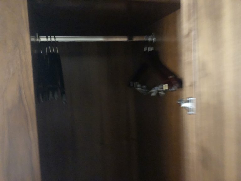 クローゼット外観 開けた状態