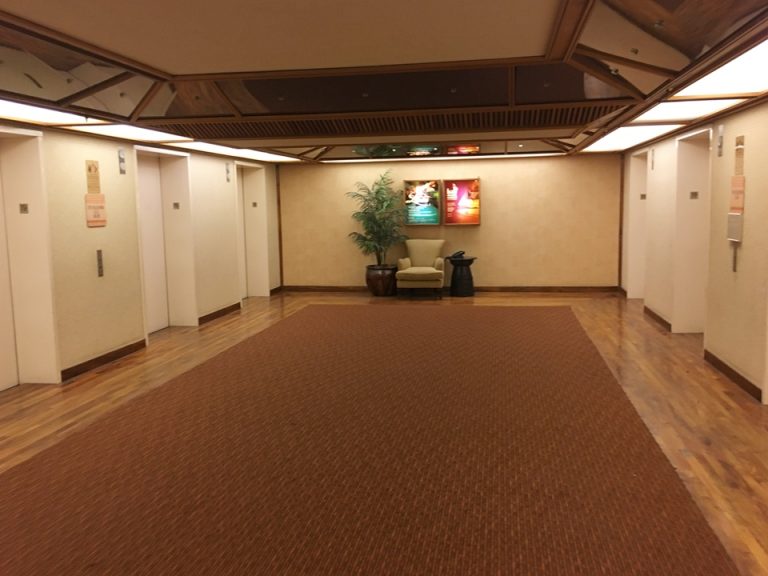タパタワーエレベーターエントランス19F