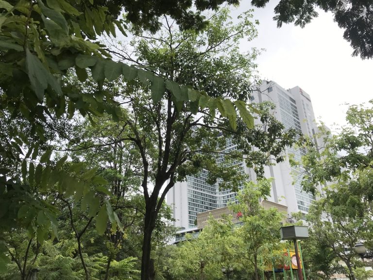 ベンシャリン公園から見たホテル1