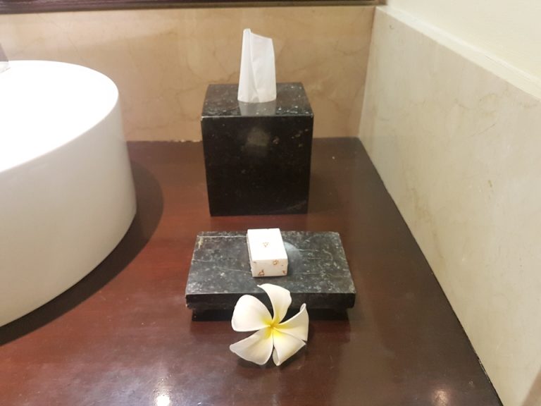 バスルーム:シャワー室側の洗面台 (1)