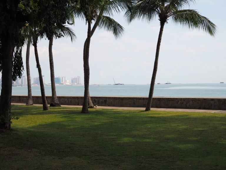 敷地内の散歩道