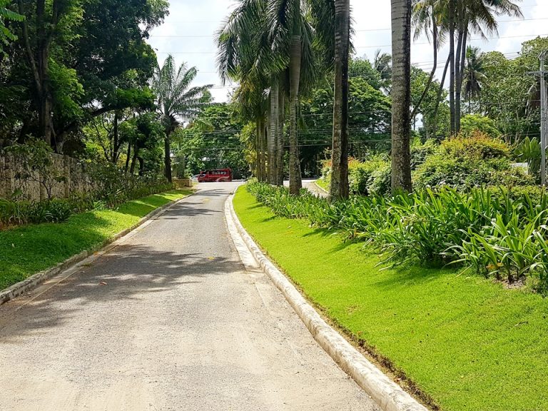 ゲート側から入口側を見た様子