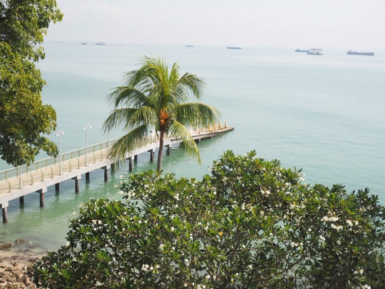 部屋からの眺望 残念ながら桟橋は渡れませんでした