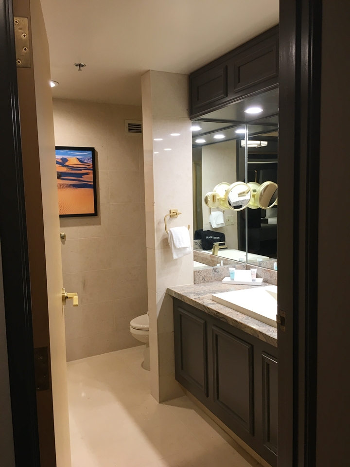 バスルーム全体