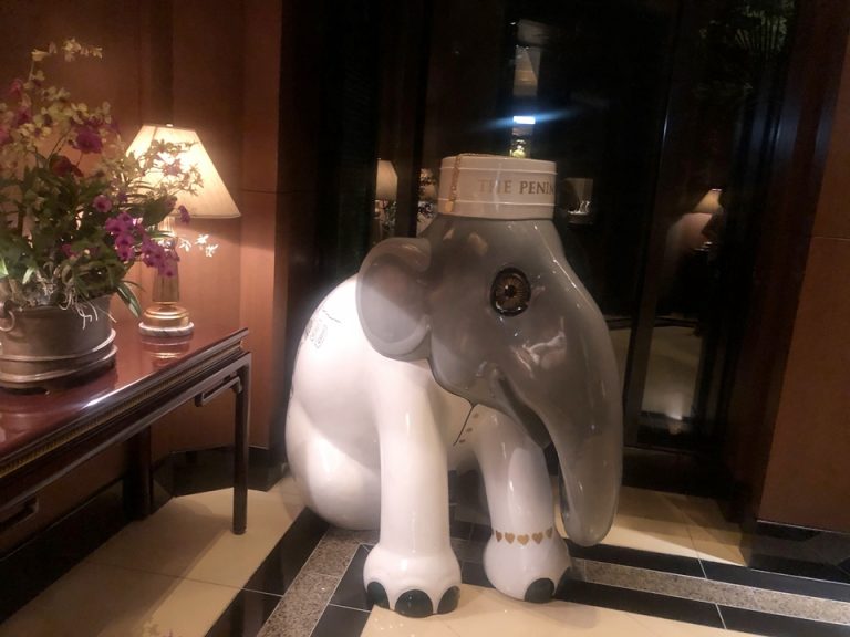 中庭への出入り口脇にも可愛らしい象さんがいました