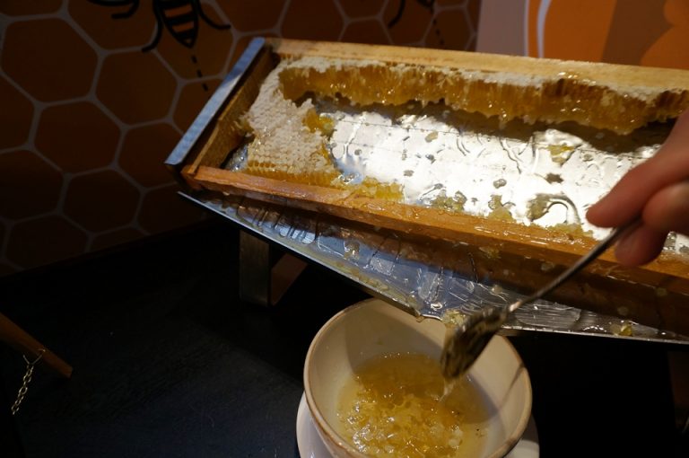 PODIUM朝食 ハニーコーン