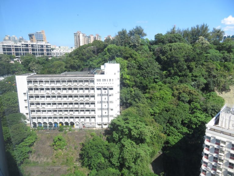 ホテルから山も見えます