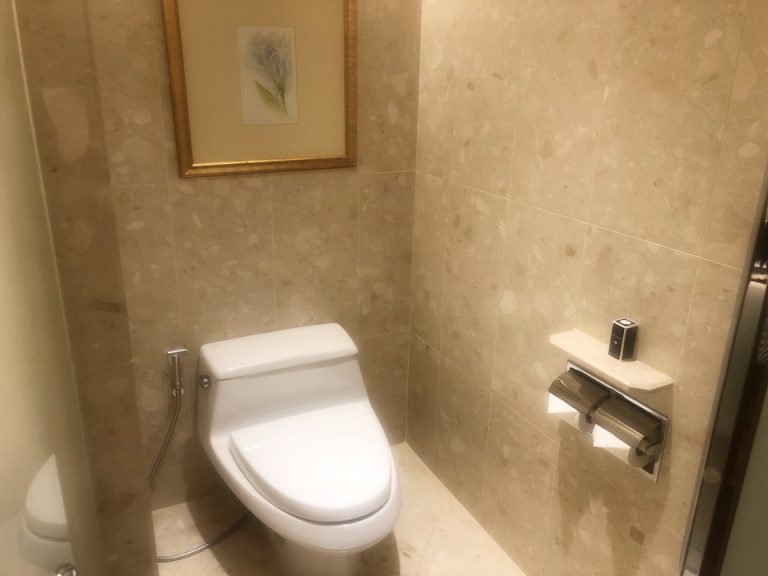 トイレスペースもかなり大きいです。そしてトイレの蓋が大きくて重厚なので慣れないうちはバタンと勢いよく閉めてしまい最初のうちは自分で閉めておきながらびっくりしました