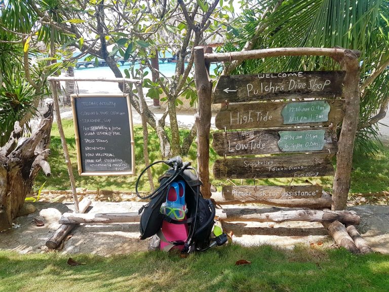 ダイブショップ:波の高さや風など海の情報が記載されたボード