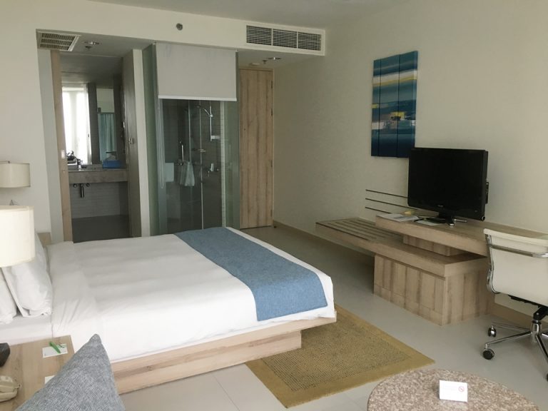 客室全体(窓側方向)